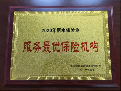 浙江信保丽水营业部荣获2020年丽水保险业“服务最优保险机构”称号